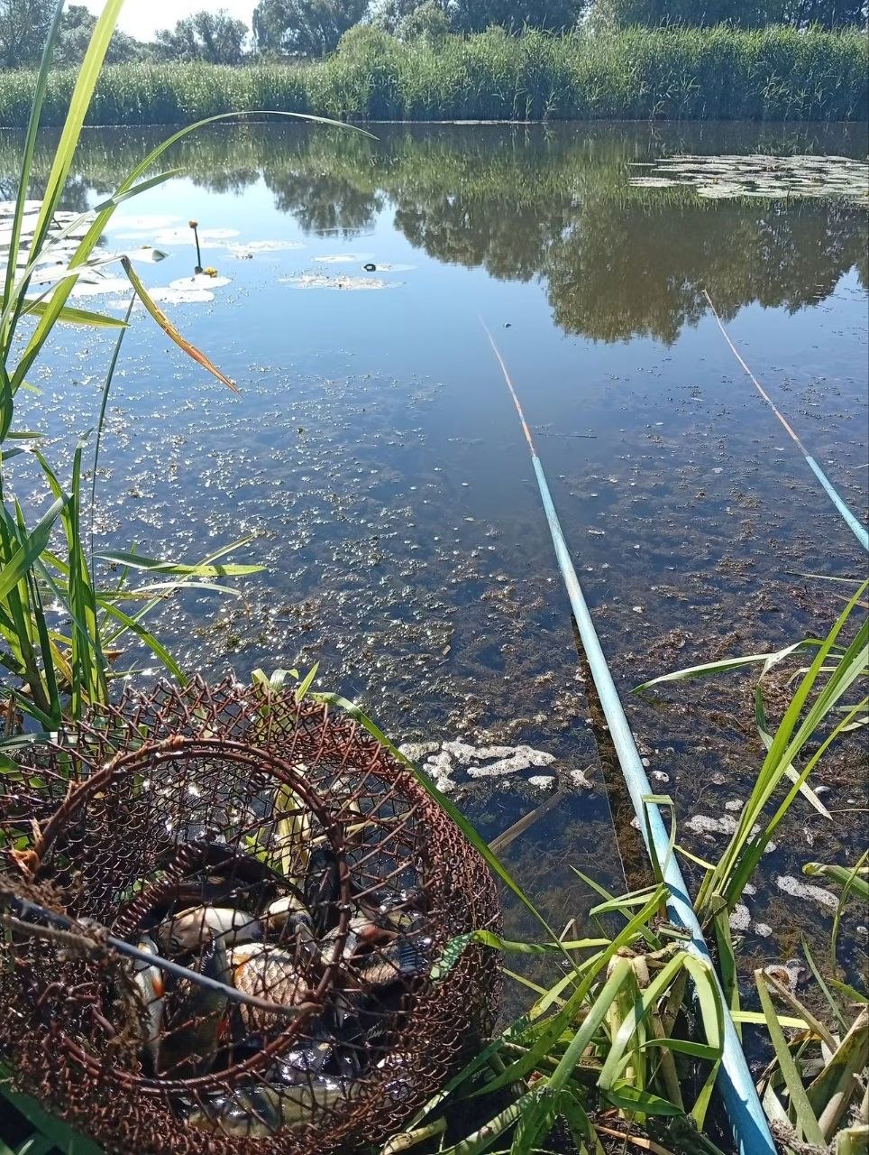 Улов — Городище, Харківська обл., 24.06.2026