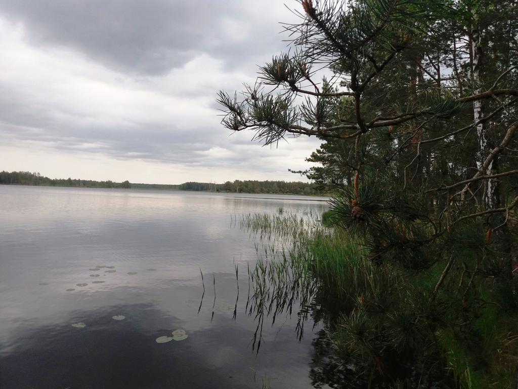 Князівка (Водосховище Боберське)