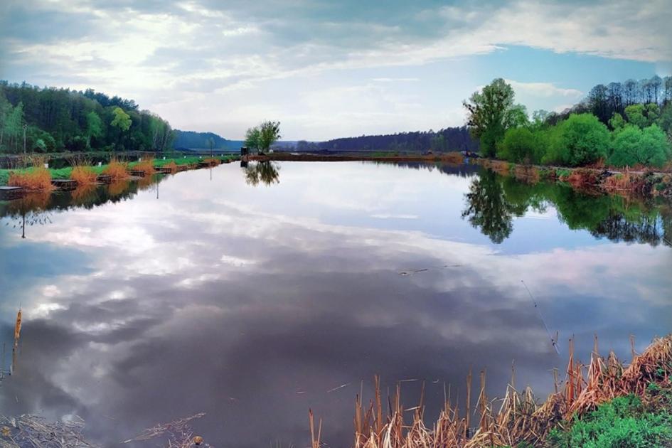 Рибалка на Озері Чайка (Cool Place) Київської області