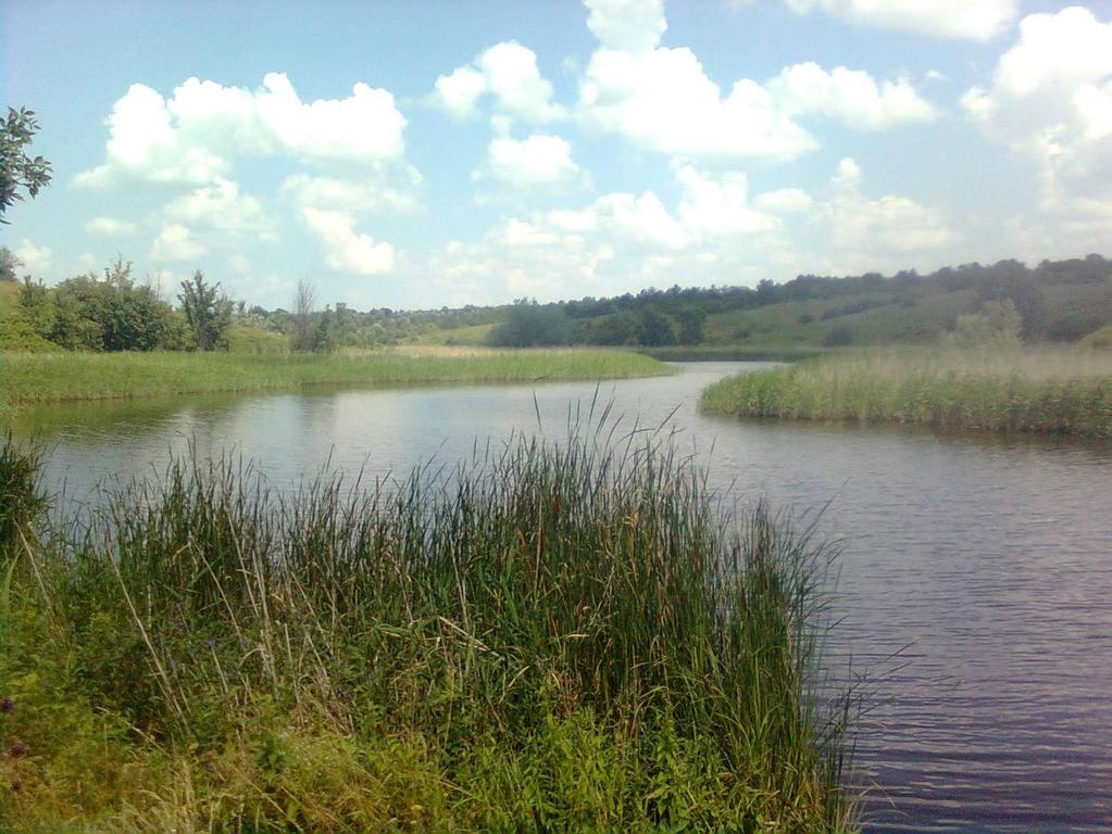 Молофедорівка