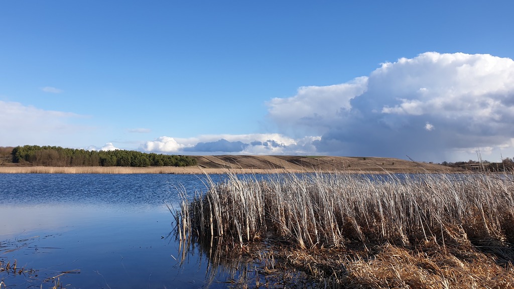 Низькі Цевеличі