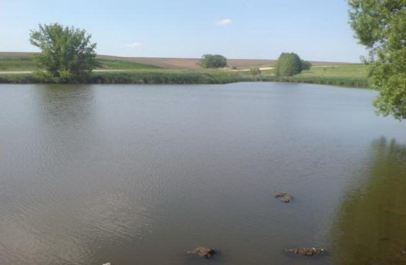 Шимківці