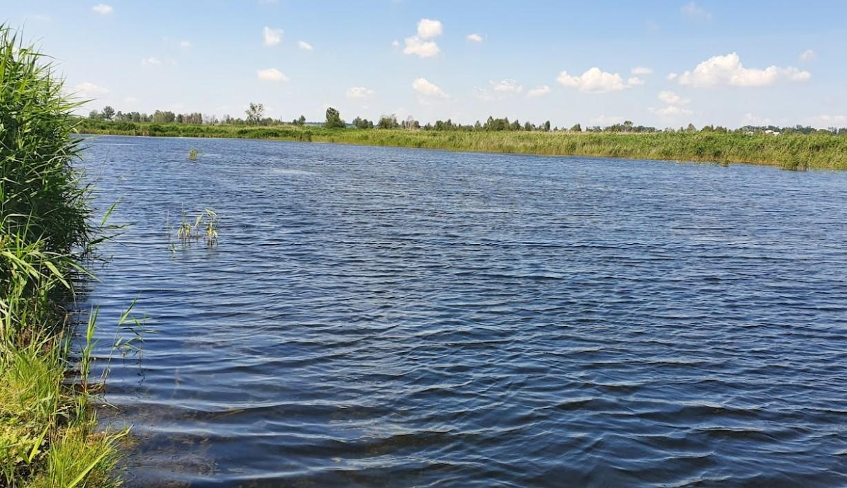 Гамаліївка (Озеро у Михайла)