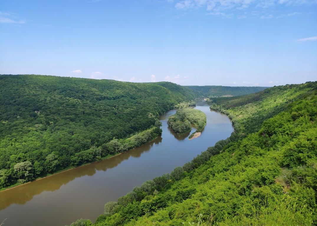 Литячі (річка Дністер)