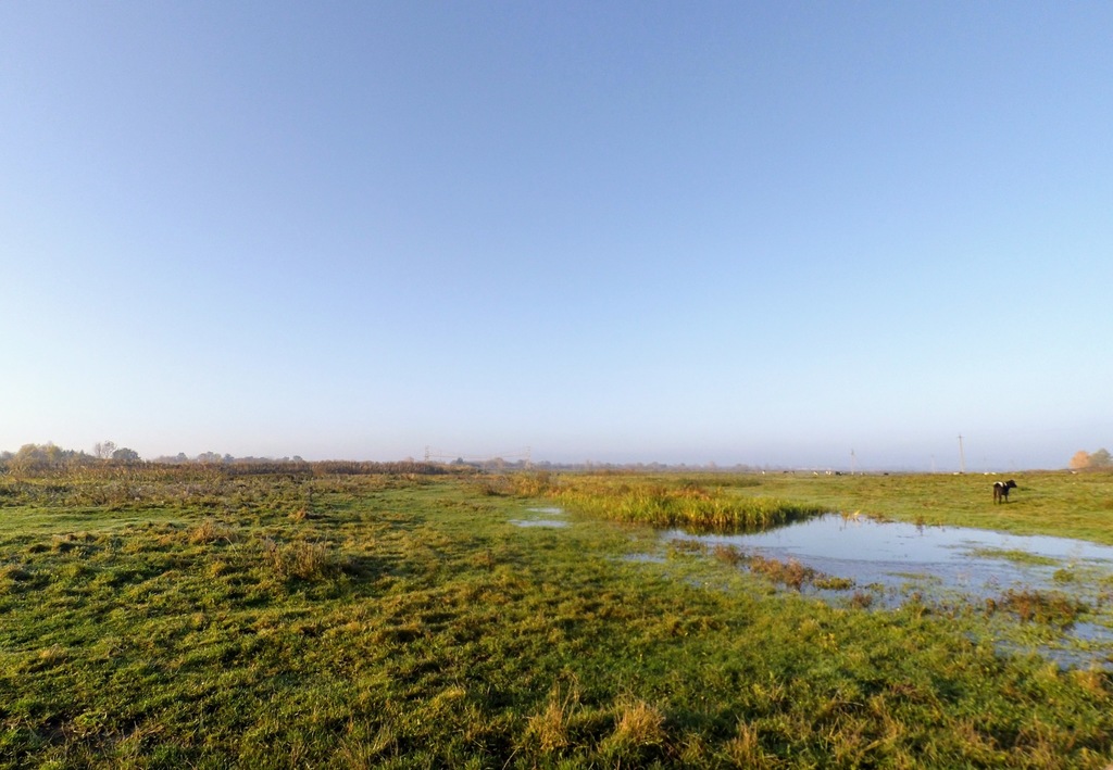 Стариці річки Стир, село Підгайці