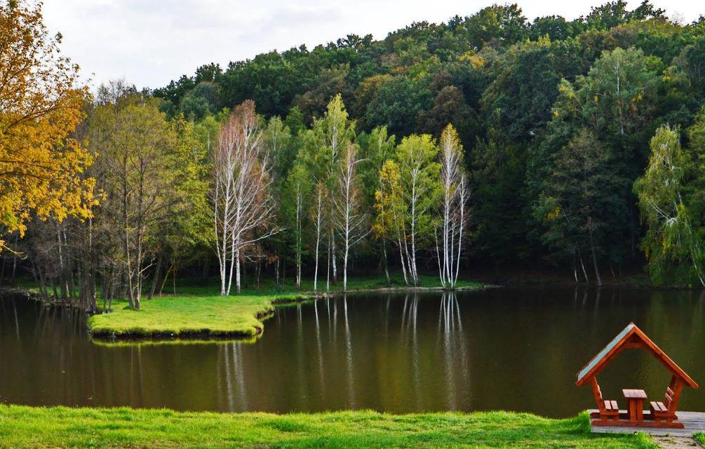 Жаботин (Fish Forest)