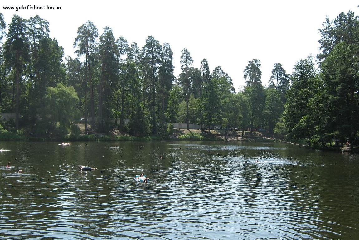 Міський став