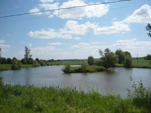 Підбереззя