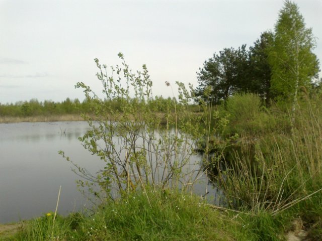 Нова Любомирка (Полігон)