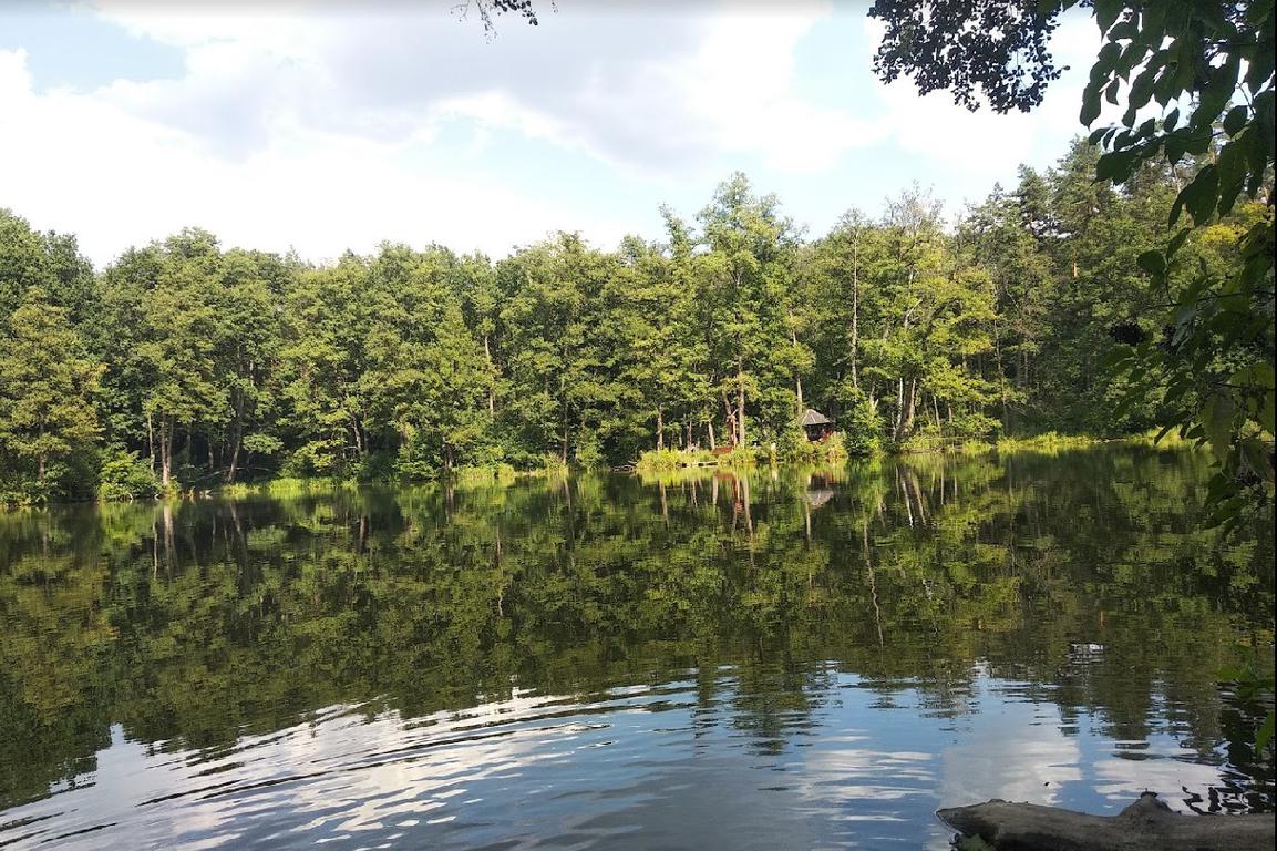 Шелехівське озеро