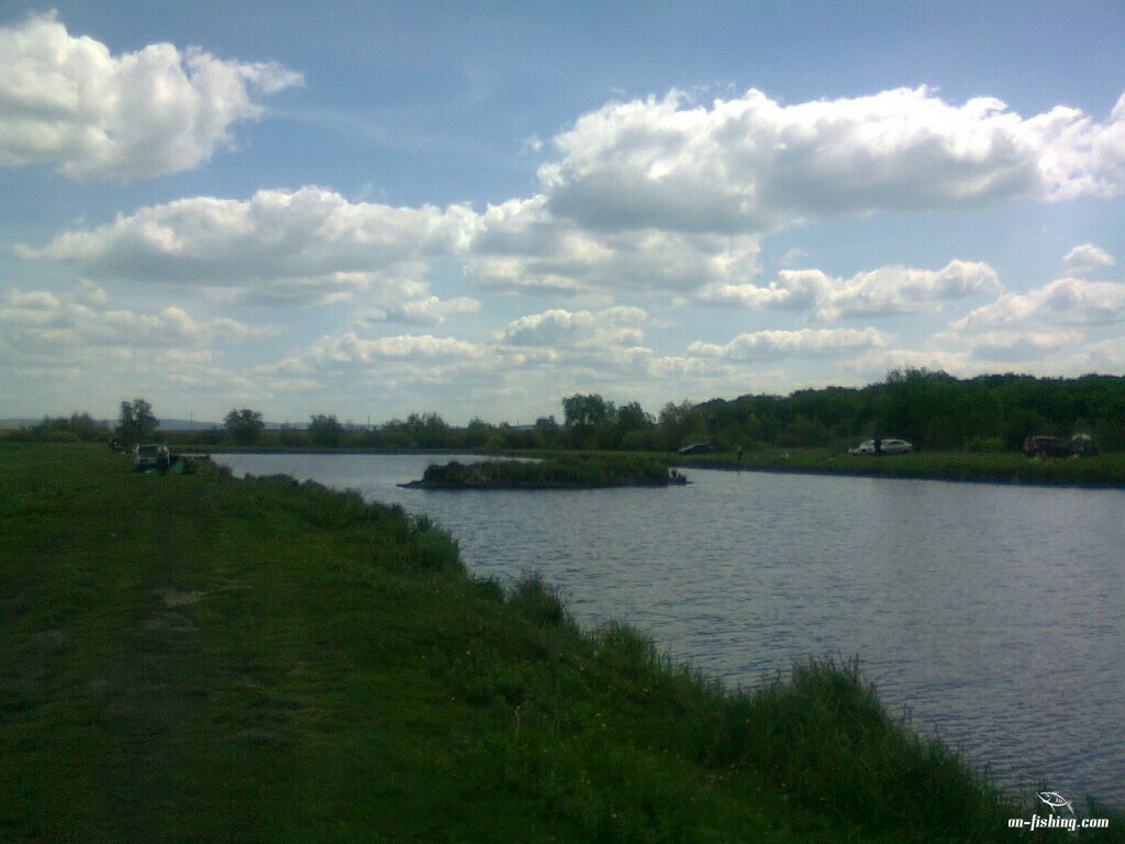 Вижняни