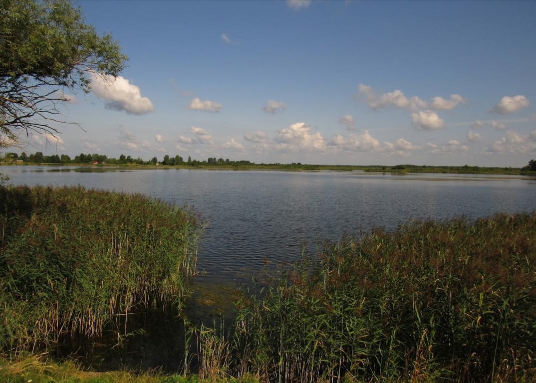 Любохини (Озеро Домашнє)