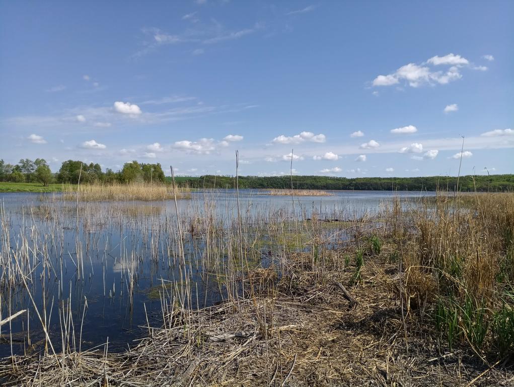 Олександрівське водосховище (Мерчик)