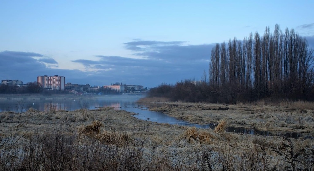 Луцьк (Затока річки Стир)