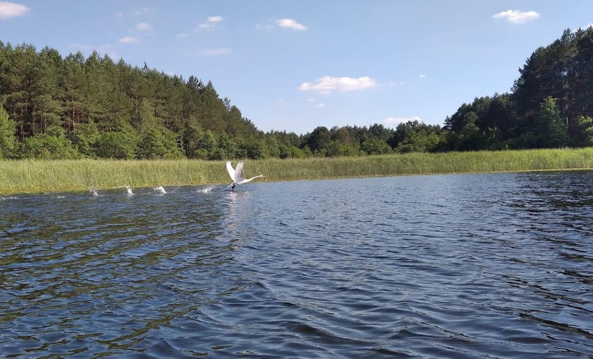 Озеро Острівне