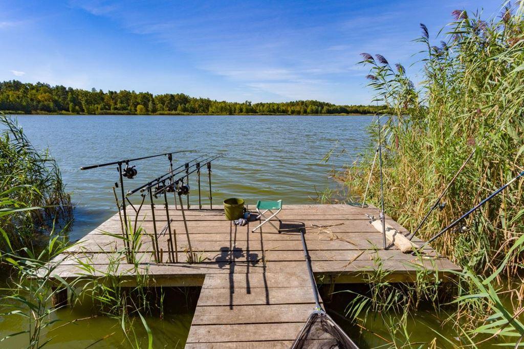 Комплекс відпочинку "Kaniv Fish Club"
