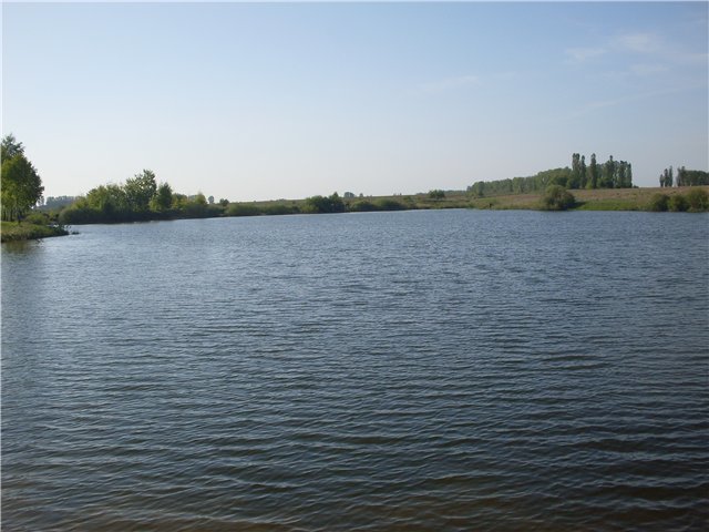 Забара