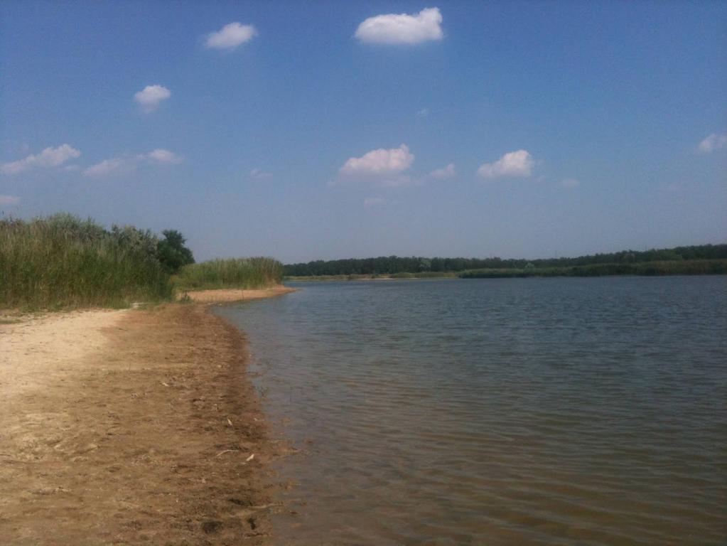 Ставок в Катериновке