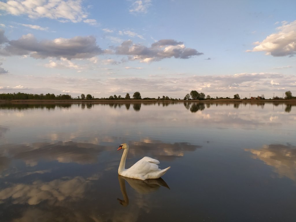 Пісків