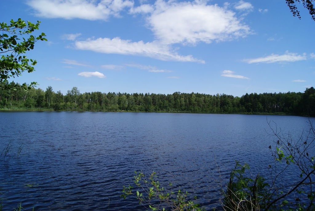Глинське