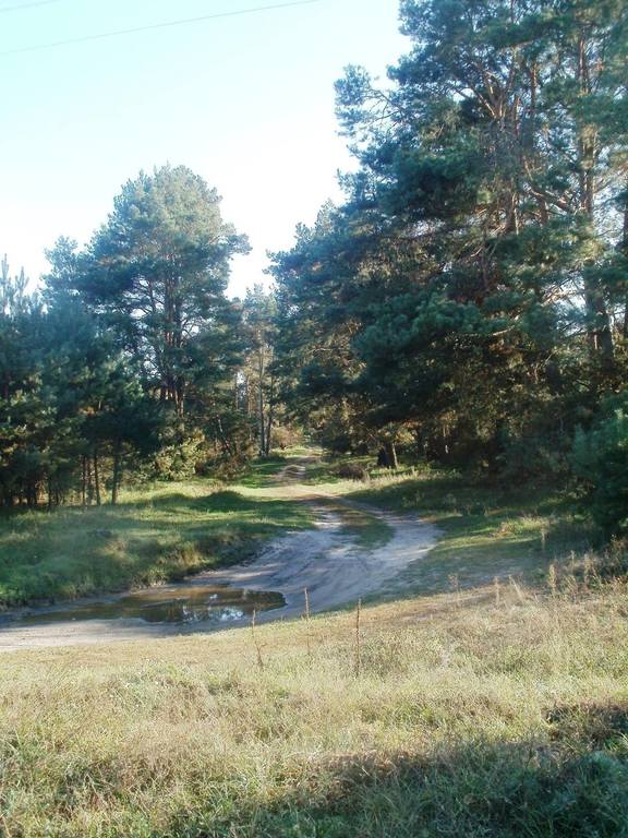 Мочулки