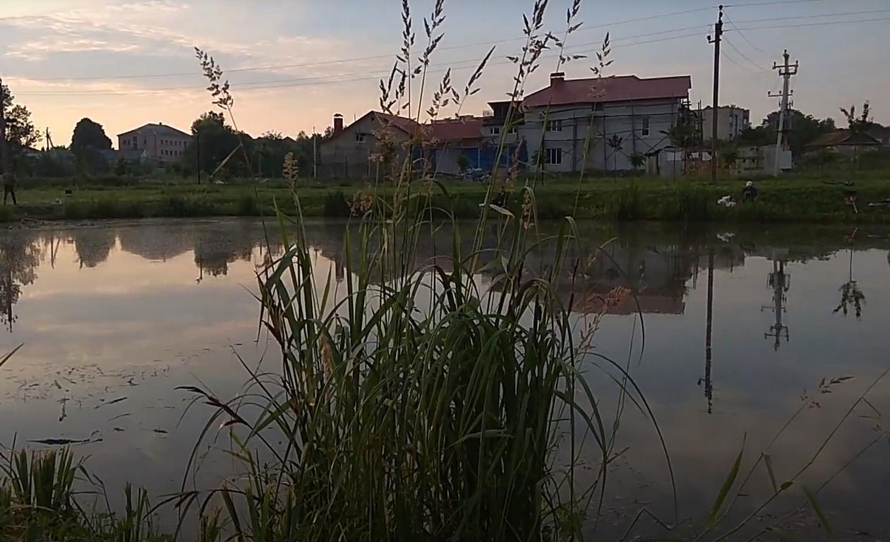 Горохів