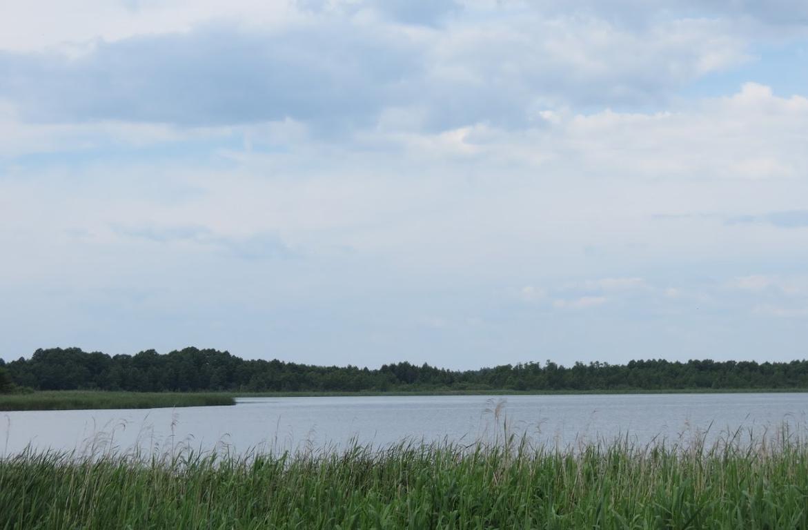 Піща (Озеро Піщанське)