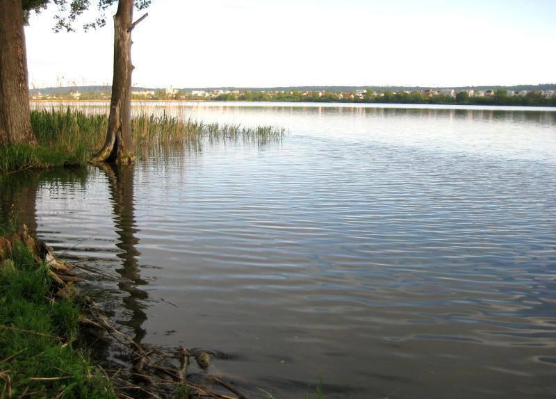 Золочів (Шевченківське озеро)