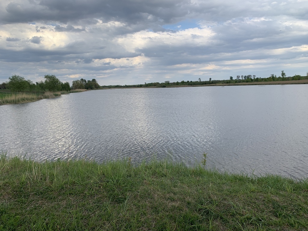 Колодіївка