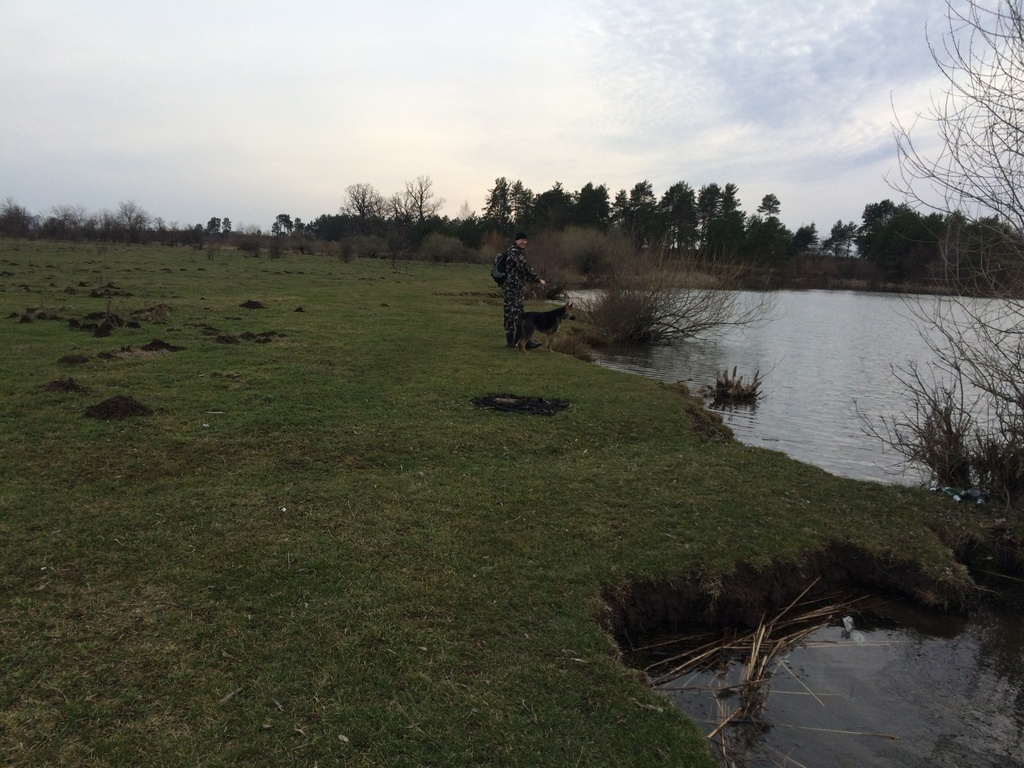 Горинь, стариці село Нетреба