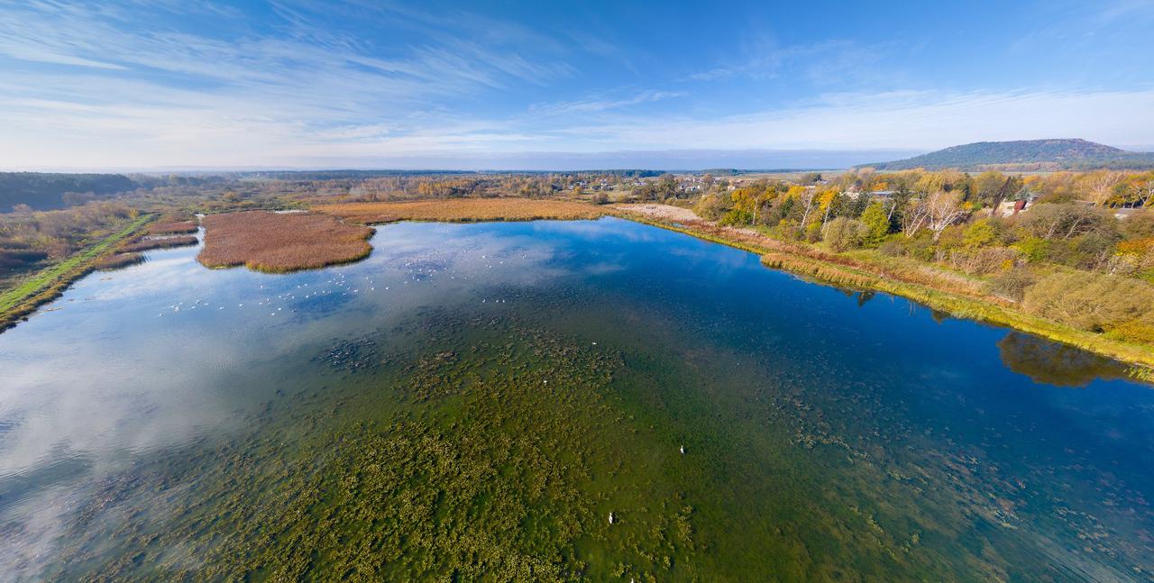 Великі Бережці