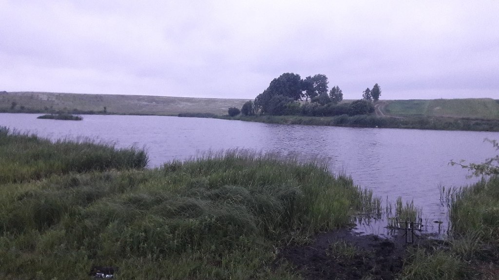 Вишня