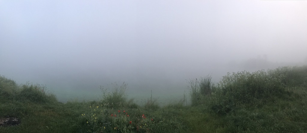 Зміїнець