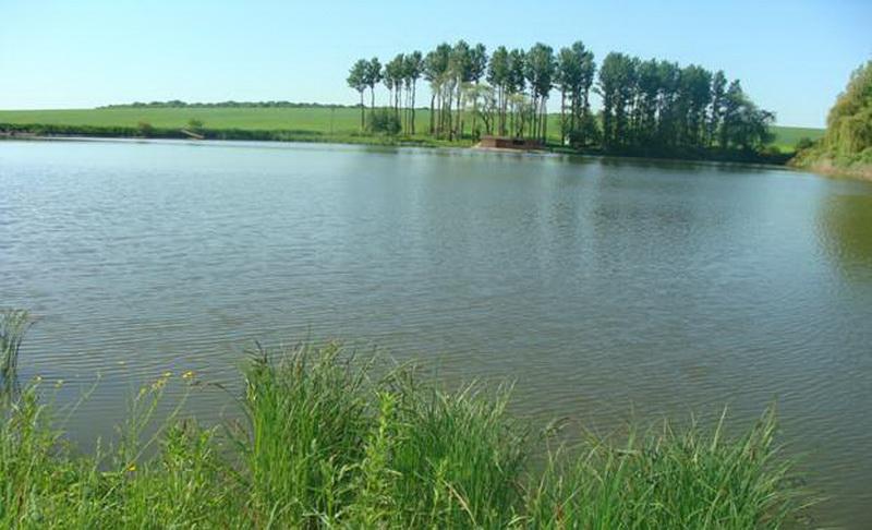 Тернопіль (м-рн Кутківці)