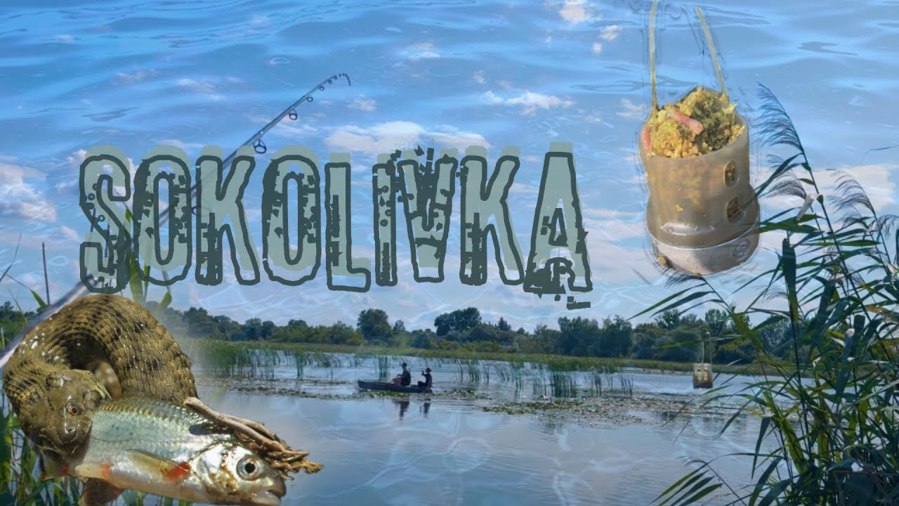 Соколівка
