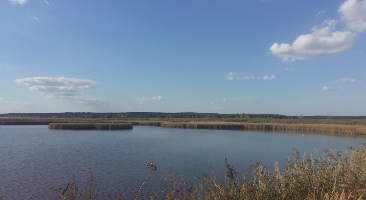 Печеніги (Рибгосп)