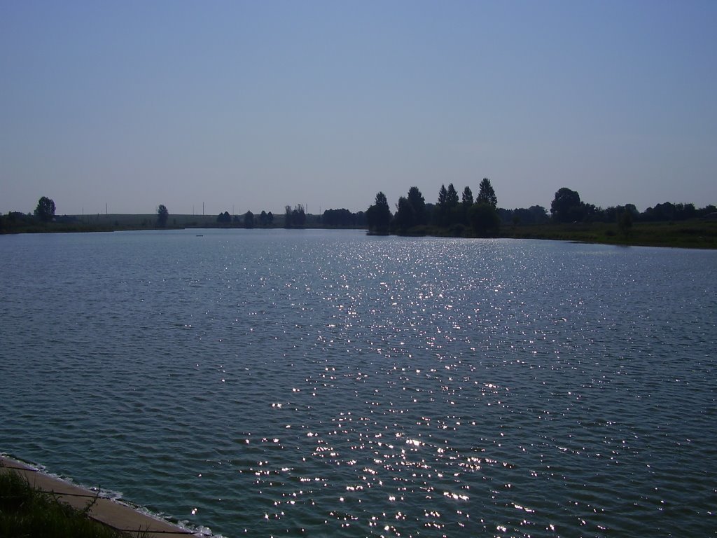 Затурці