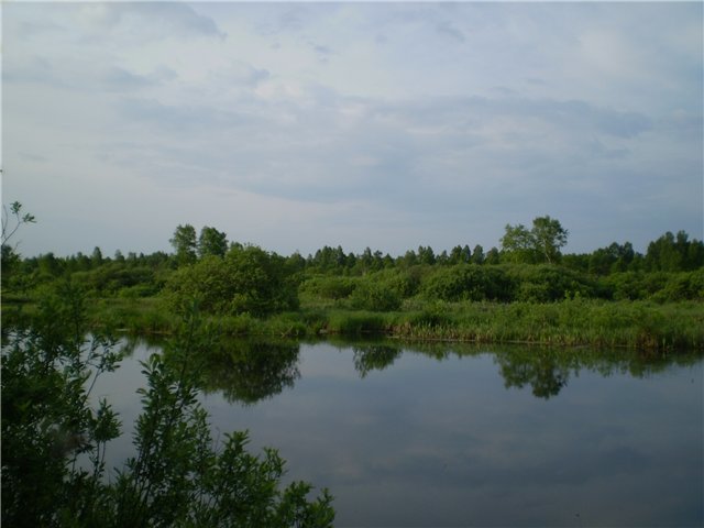 Волошки (кар'єри)