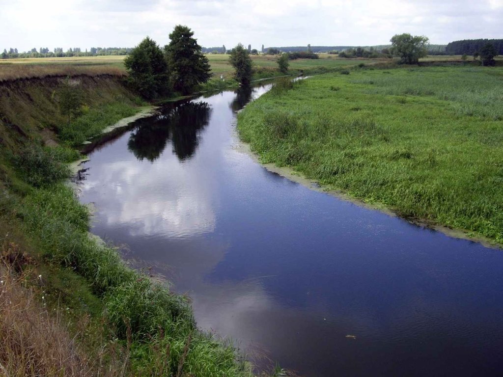 Пляшева (річка Стир)