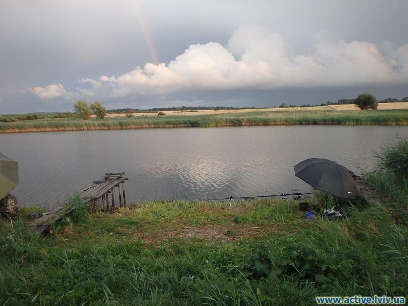 Куровичі