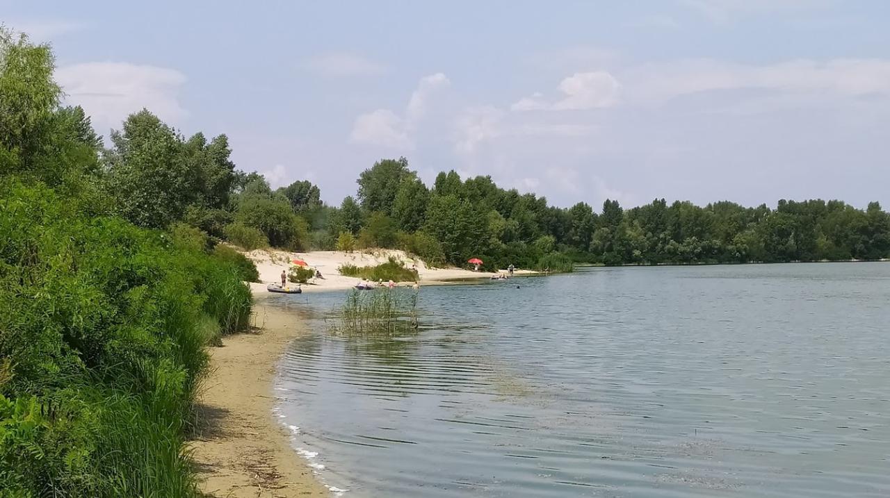 Затока Доманя