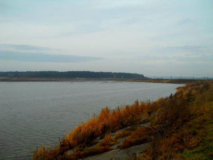 Корчів
