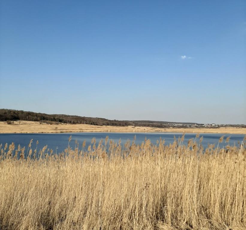Розділ (Чисте озеро)