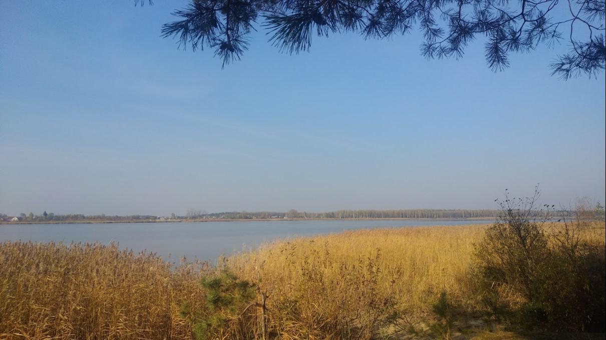 Іршанське водосховище