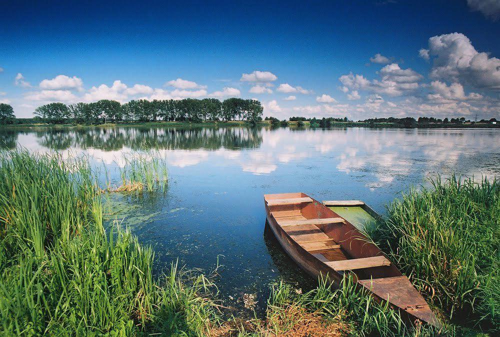 Добротвірське водосховище
