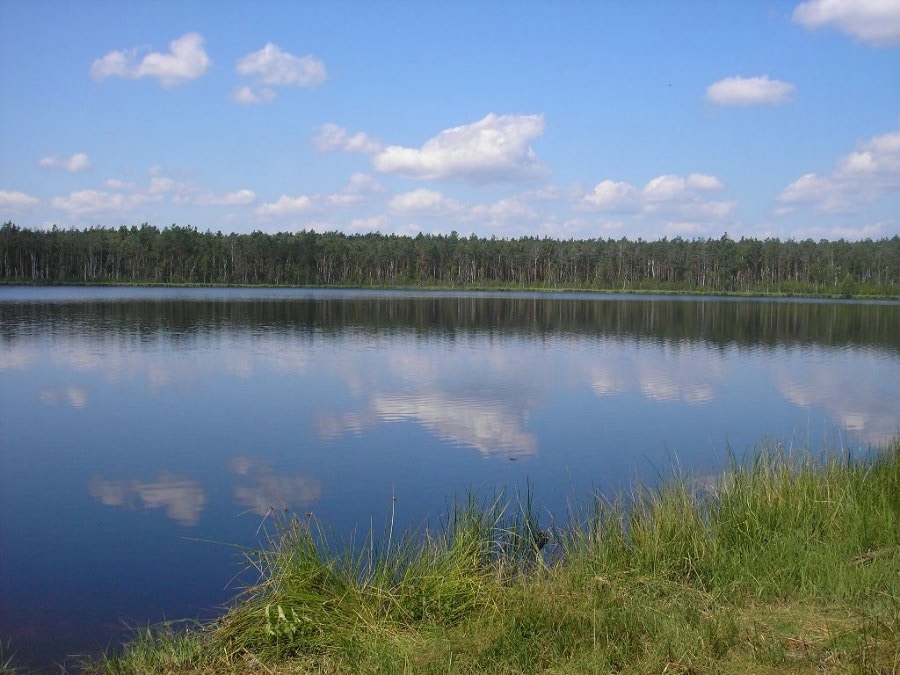 озеро Лісовське