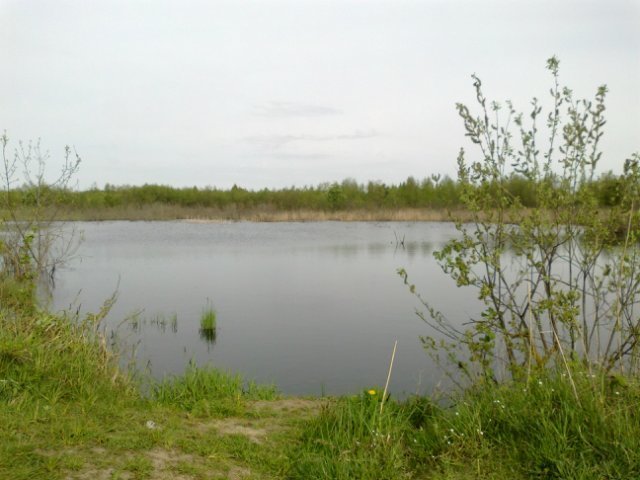 Нова Любомирка (Полігон)
