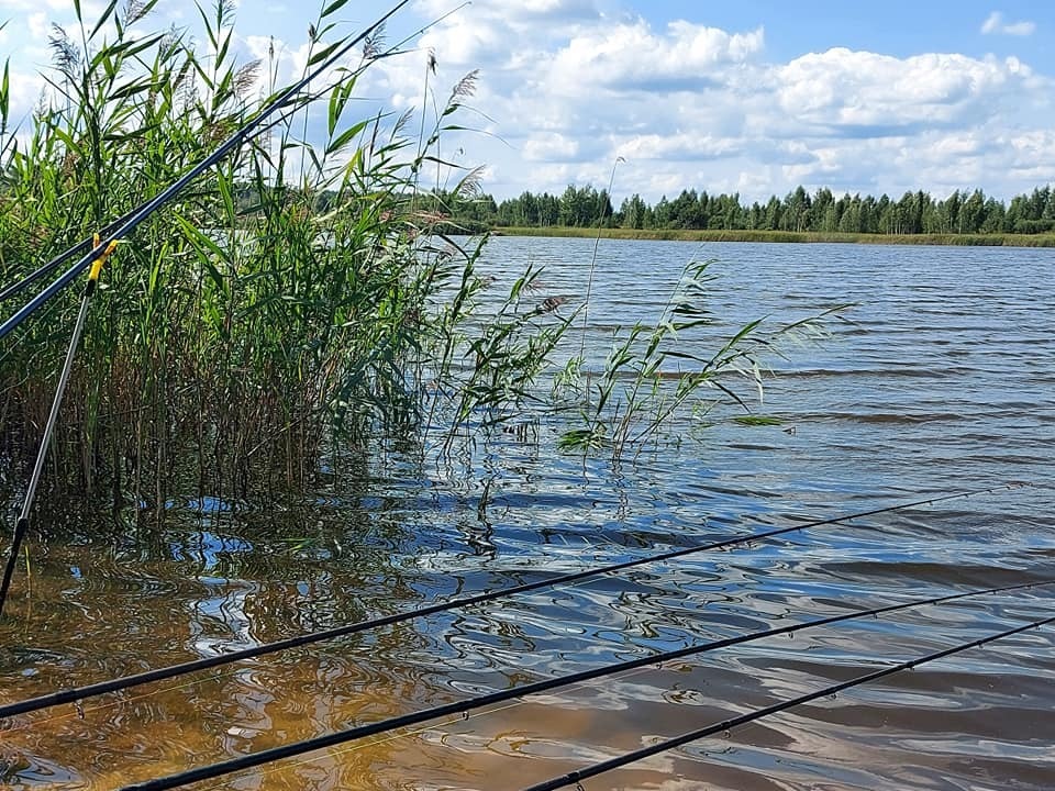 Володимирець