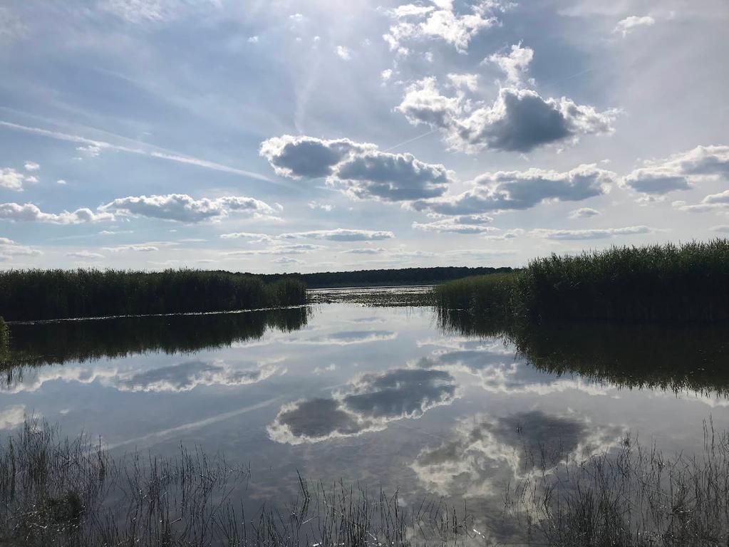 Затишшя (Озеро Луки)