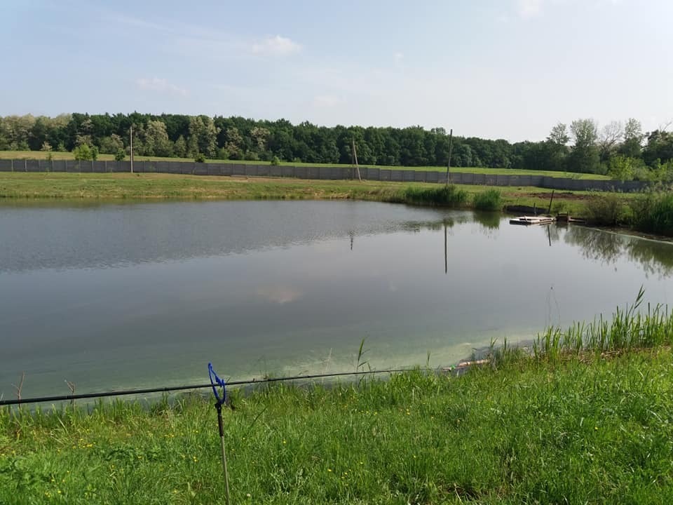 Борщовичі